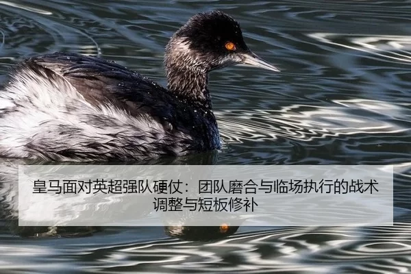 huang-ma-mian-dui-ying-chao-qiang-dui-ying-zhang-tuan-dui-mo-he-yu-lin-chang-zhi-xing-de-zhan-shu-tiao-zheng-yu-duan-2-634.jpg